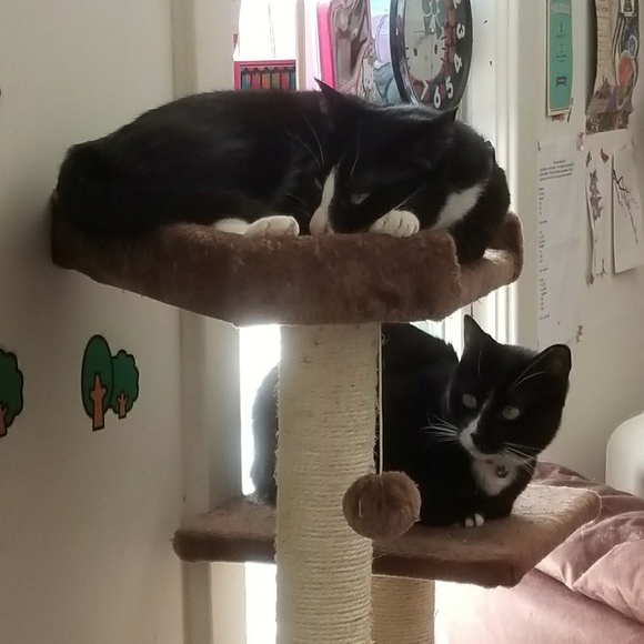 CLEARANCE SALE!!!! Get great prices! - Picture 3 of 3